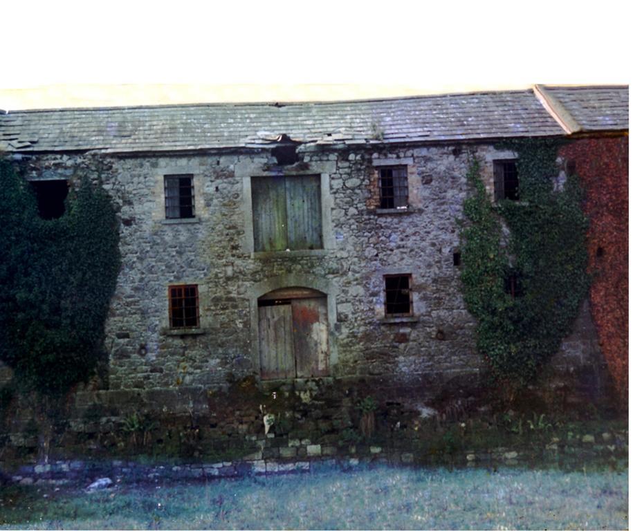 Fort House Bed & Breakfast Kilbeggan Dış mekan fotoğraf
