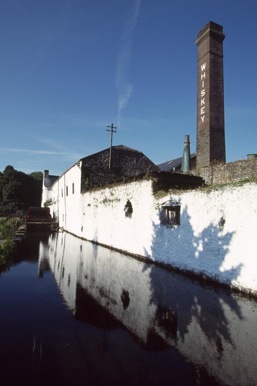 Fort House Bed & Breakfast Kilbeggan Dış mekan fotoğraf